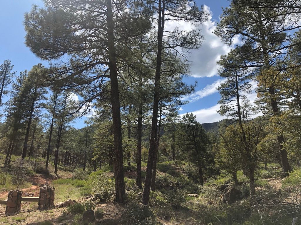 Home rustic luxury cabins
