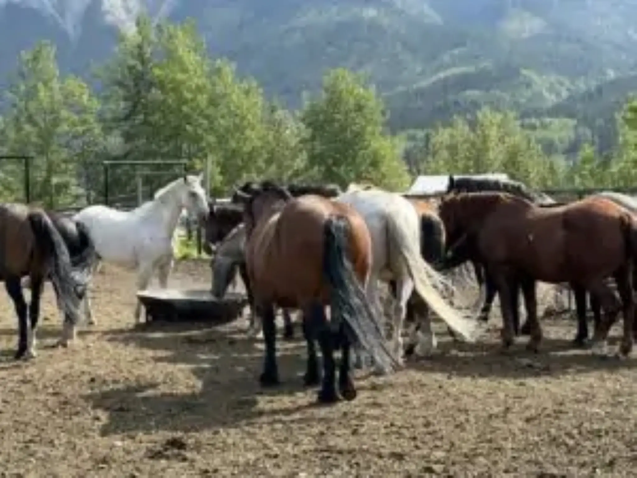 Sikanni River Ranch
