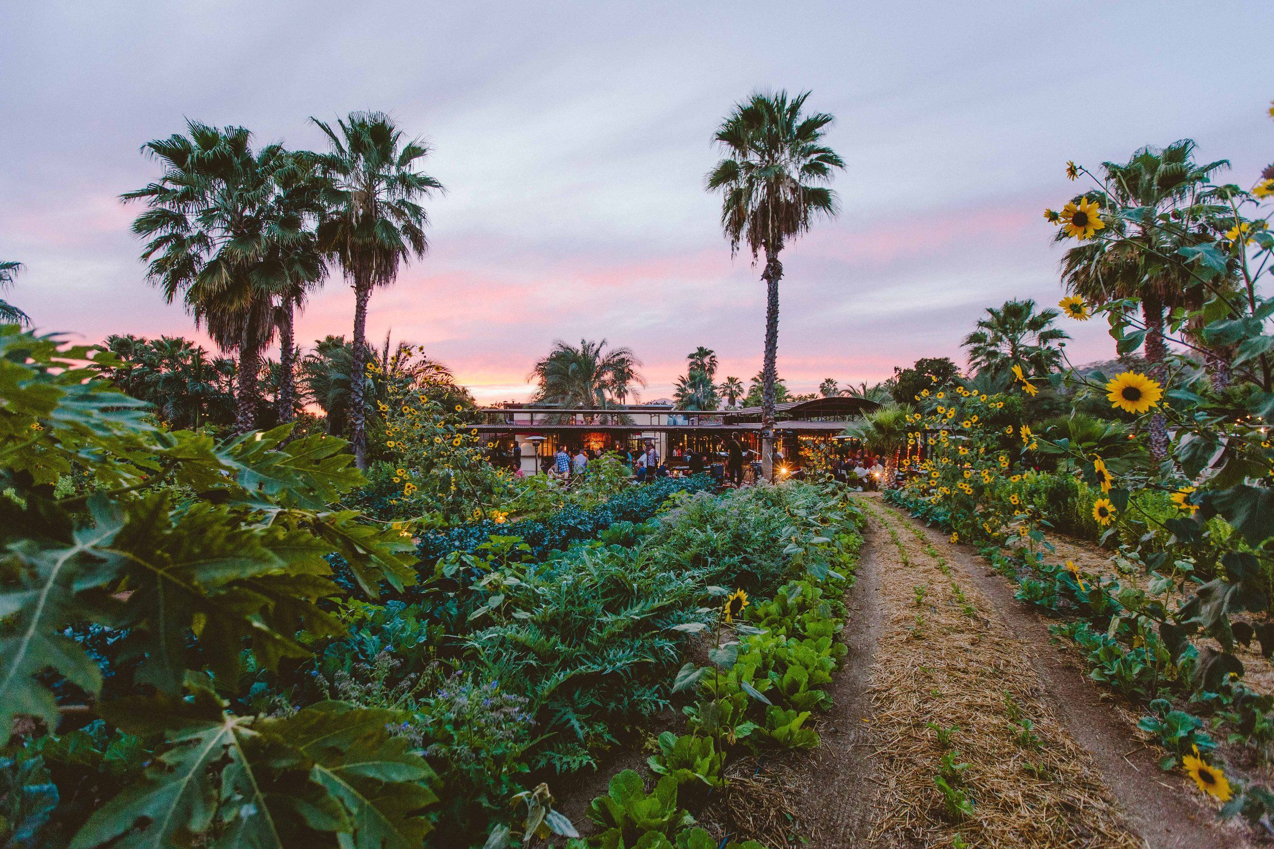 Home [stay.florafarms.com]