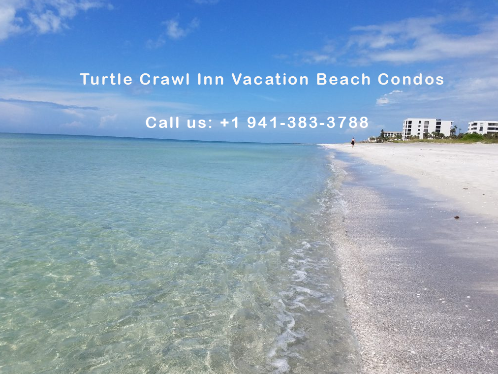 Home — Turtle Crawl Resort