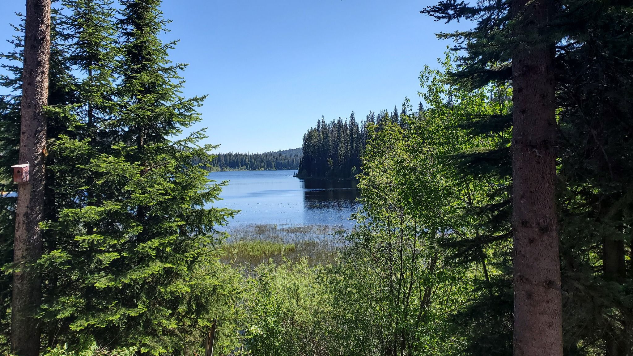 Home — Dee Lake Wilderness Resort - Main photo