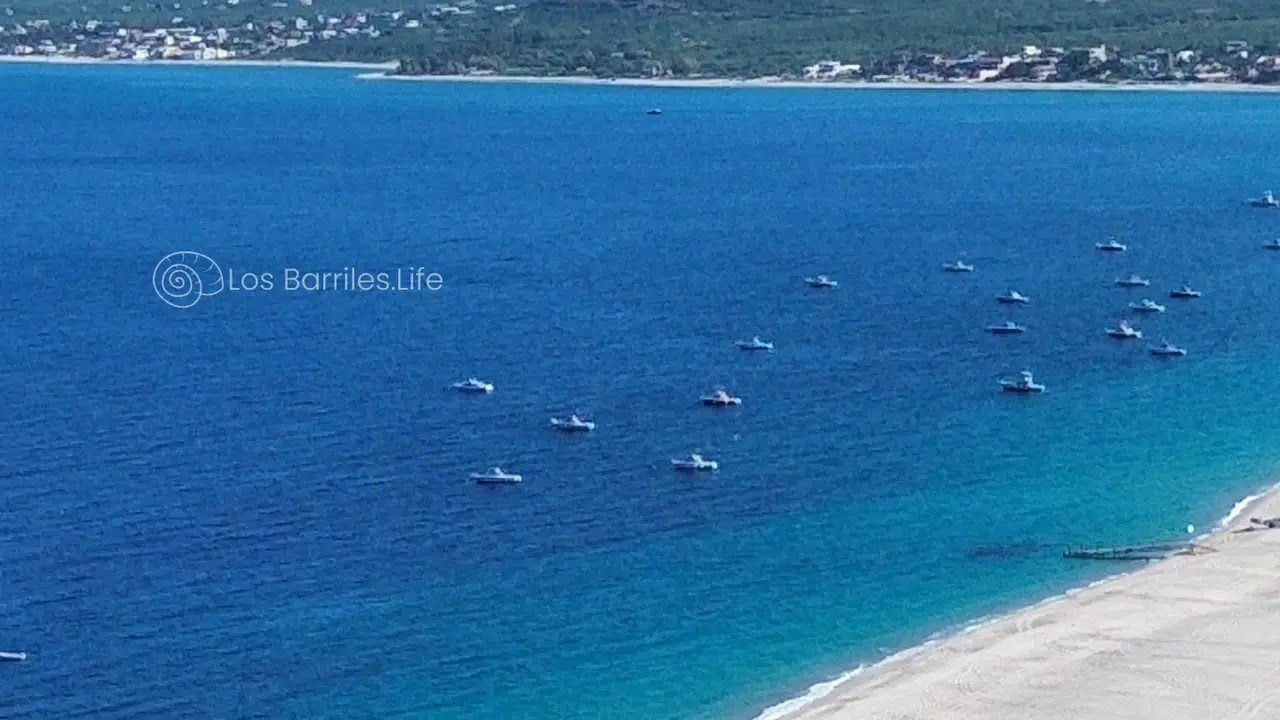 Home — Los Barriles.Life Vacation Rentals